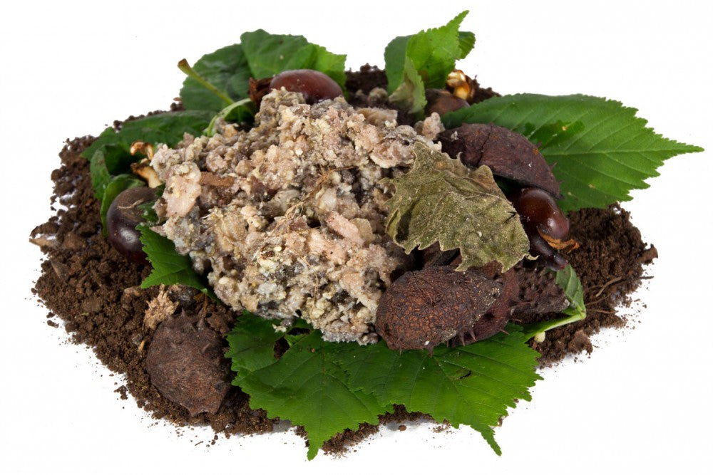 Karnivor Blättermagen gewolft – Produktabbildung