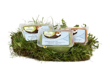 Gemüse gemischt 20x 200 g