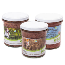 Bunter Mix 6er Pack